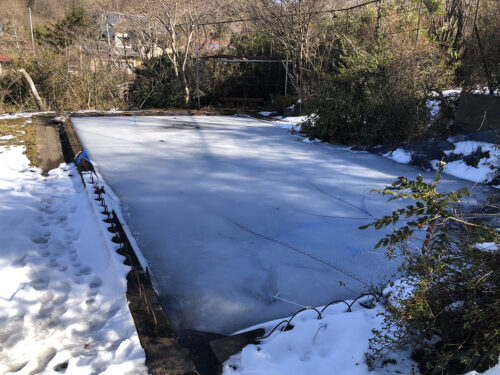 福島県福島市 花見山公園の情報 2023年2月6日 IMG_8887s