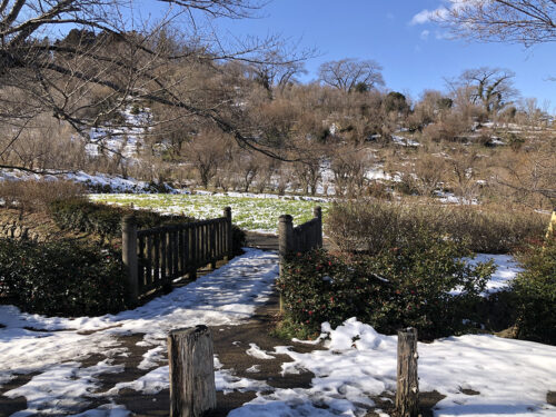 福島県福島市 花見山公園の情報 2023年2月6日 IMG_8892s