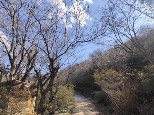 福島県福島市 花見山公園の情報 2023年3月1日 IMG_0533