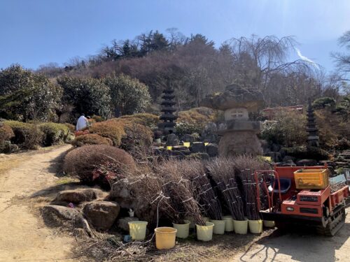 福島県福島市 花見山公園の情報 2023年3月1日 IMG_0538