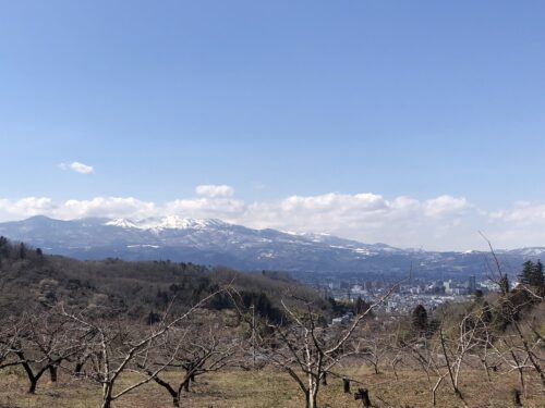 福島県福島市 花見山公園の情報 2023年3月1日 IMG_0540