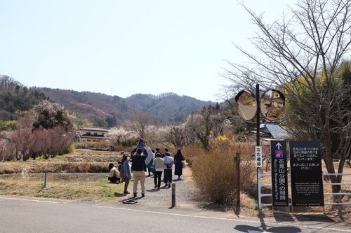 福島県福島市 花見山公園の情報 2023年3月22日 IMG_4735s