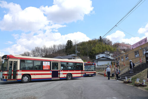 福島県福島市 花見山公園の情報 2023年3月30日 IMG_5098s