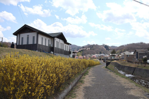 福島県福島市 花見山公園の情報 2023年3月30日 IMG_5099s