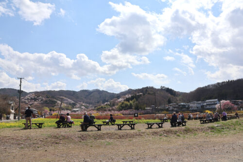 福島県福島市 花見山公園の情報 2023年3月30日 IMG_5104s