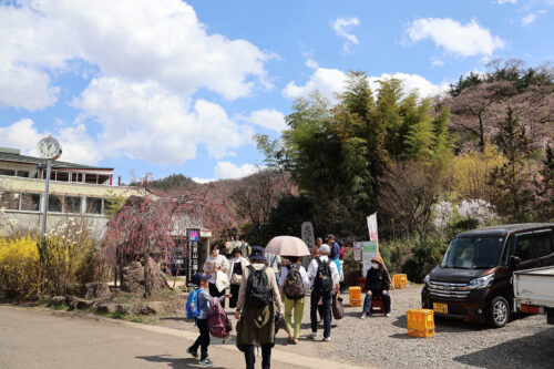 福島県福島市 花見山公園の情報 2023年3月30日 IMG_5141s