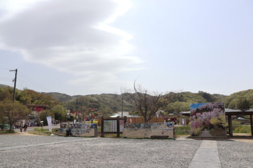 福島県福島市 花見山公園の情報 2023年4月14日 IMG_5973