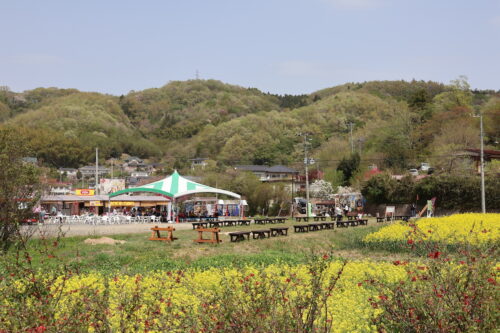 福島県福島市 花見山公園の情報 2023年4月14日 IMG_5994