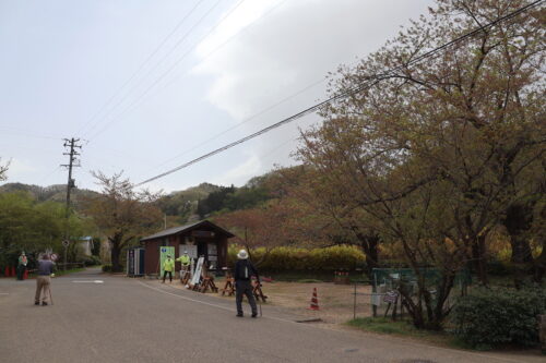 福島県福島市 花見山公園の情報 2023年4月14日 IMG_6058