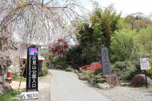 福島県福島市 花見山公園の情報 2023年4月14日 IMG_6066