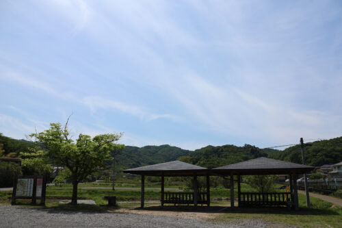 福島県福島市 花見山公園の情報 2023年5月9日 IMG_6149s