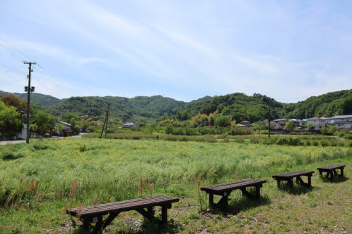 福島県福島市 花見山公園の情報 2023年5月9日 IMG_6151s