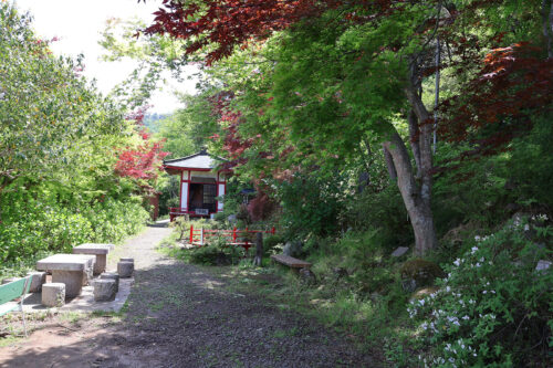 福島県福島市 花見山公園の情報 2023年5月9日 IMG_6166s