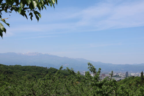 福島県福島市 花見山公園の情報 2023年5月9日 IMG_6179s