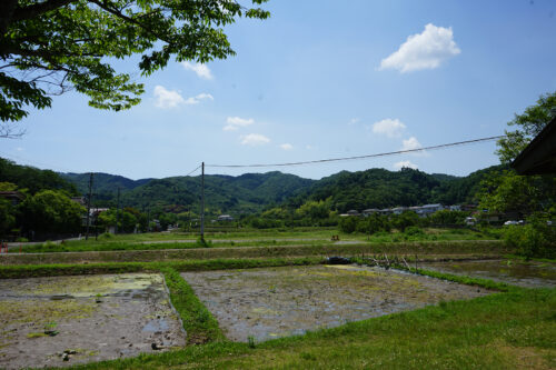 福島県福島市 花見山公園の情報 2023年6月7日 DSC00324s