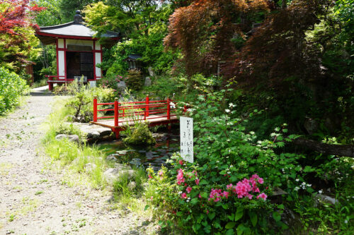 福島県福島市 花見山公園の情報 2023年6月7日 DSC00336s