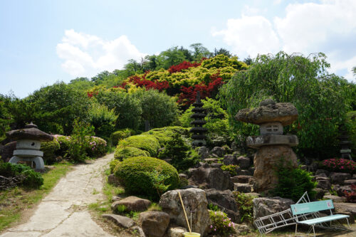 福島県福島市 花見山公園の情報 2023年6月7日 DSC00341s