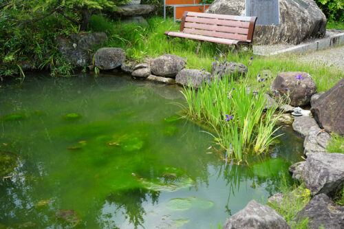 福島県福島市 花見山公園の情報 2023年6月7日 DSC00342s