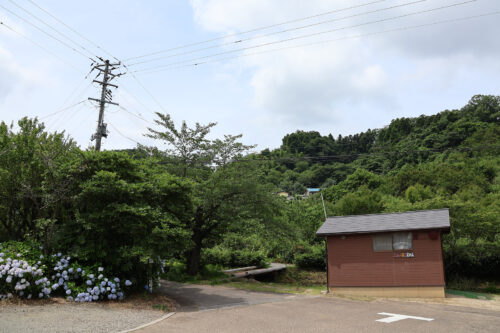 福島県福島市 花見山公園の情報 2023年7月5日 IMG_7072s