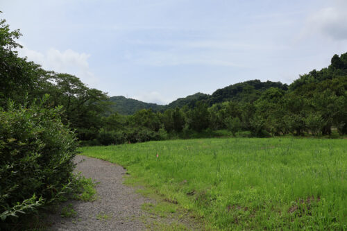 福島県福島市 花見山公園の情報 2023年7月5日 IMG_7083s