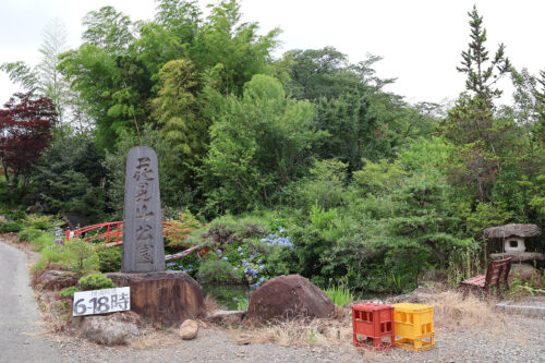 福島県福島市 花見山公園の情報 2023年7月5日 IMG_7086s