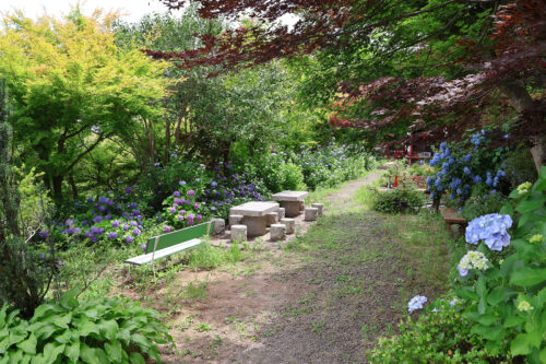 福島県福島市 花見山公園の情報 2023年7月5日 IMG_7094s