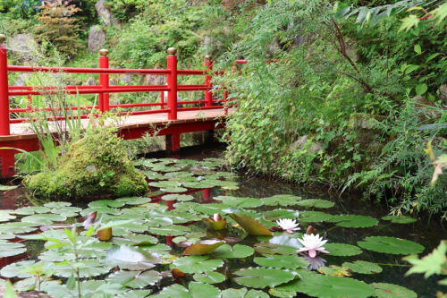 福島県福島市 花見山公園の情報 2023年7月5日 IMG_7095s