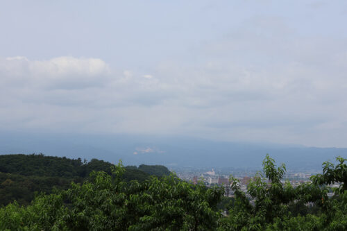 福島県福島市 花見山公園の情報 2023年7月5日 IMG_7112s