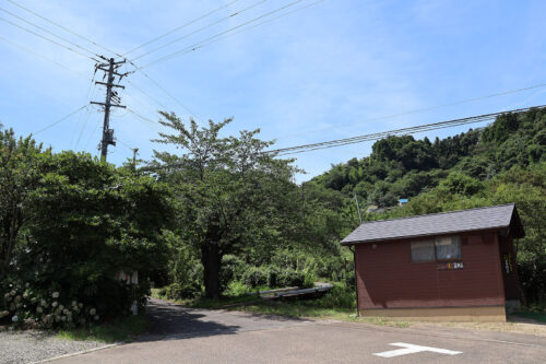 福島県福島市 花見山公園の情報 2023年8月2日 IMG_7354s 