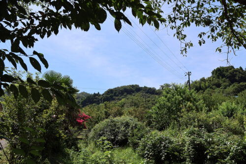 福島県福島市 花見山公園の情報 2023年8月2日 IMG_7355s 