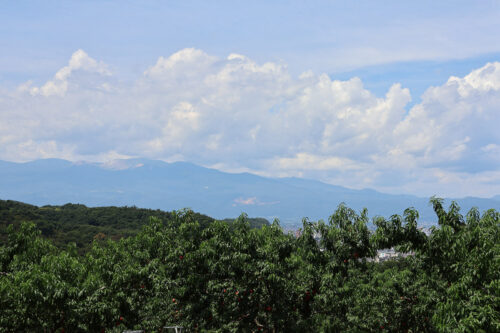 福島県福島市 花見山公園の情報 2023年8月2日 IMG_7374s 