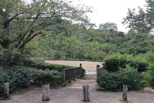 福島県福島市 花見山公園の情報 2023年9月7日 IMG_7785s 