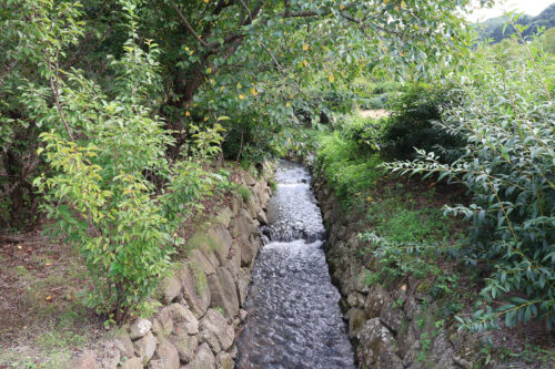 福島県福島市 花見山公園の情報 2023年9月7日 IMG_7786s 