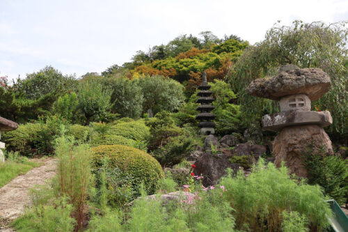 福島県福島市 花見山公園の情報 2023年9月7日 IMG_7790s 