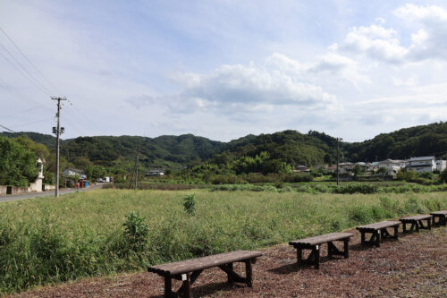 福島県福島市 花見山公園の情報 2023年9月7日 IMG_7795s 