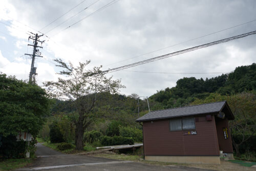 福島県福島市 花見山公園の情報 2023年10月6日