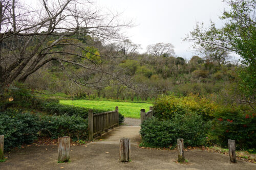 福島県福島市 花見山公園の情報 2023年11月10日 DSC01222s