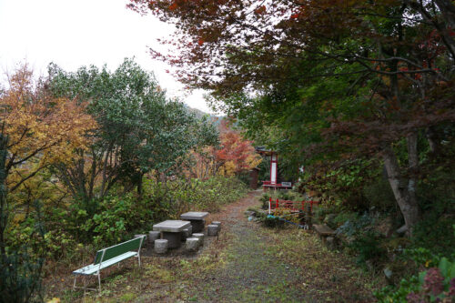 福島県福島市 花見山公園の情報 2023年11月10日 DSC01226s