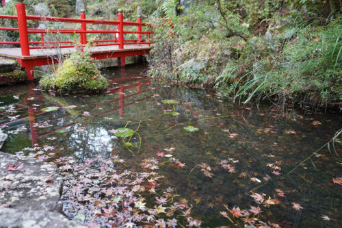 福島県福島市 花見山公園の情報 2023年11月10日 DSC01227s