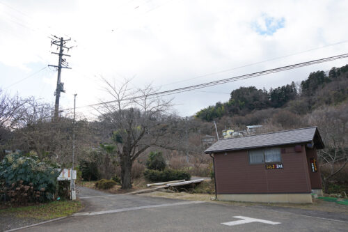 福島県福島市 花見山公園の情報 2023年12月26日 DSC01321s