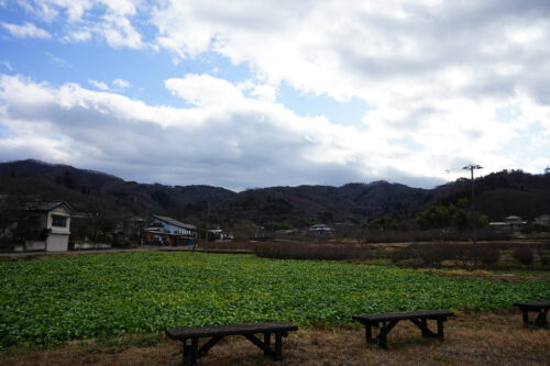 福島県福島市 花見山公園の情報 2024年1月10日