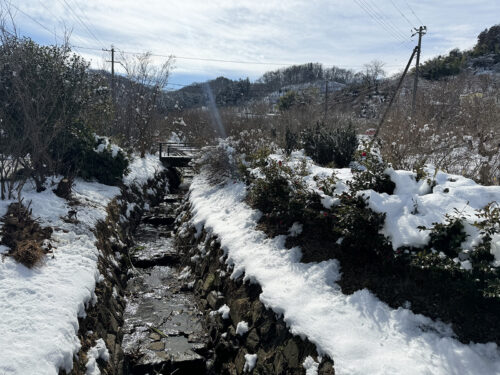 福島県福島市 花見山公園の情報 2024年2月7日 IMG_4245s