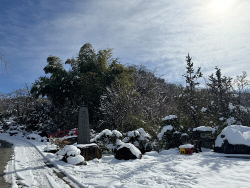 福島県福島市 花見山公園の情報 2024年2月7日 IMG_4250s