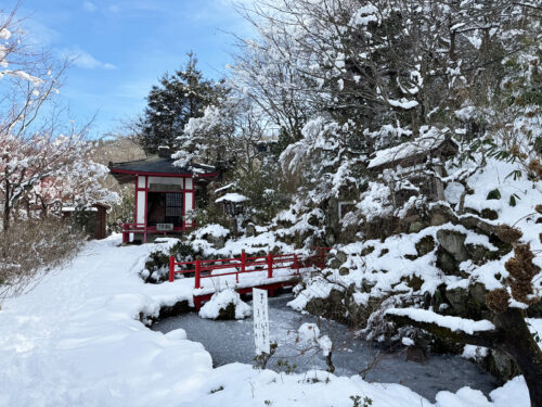 福島県福島市 花見山公園の情報 2024年2月7日 IMG_4269s