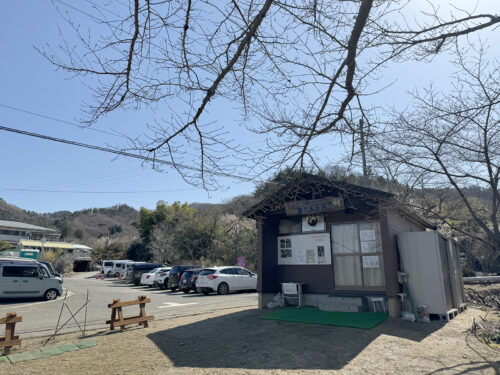 福島県福島市 花見山公園の情報 2024年3月11日 IMG_6328s