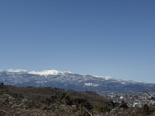 福島県福島市 花見山公園の情報 2024年3月11日 IMG_6358s