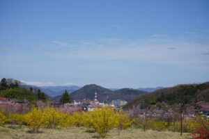 福島県福島市 花見山公園の情報 2024年4月4日 画像DSC01405s
