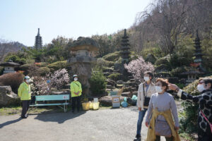 福島県福島市 花見山公園の情報 2024年4月4日 画像DSC01414s