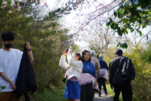 福島県福島市 花見山公園の情報 2024年4月4日 画像DSC01421s