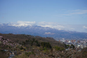 福島県福島市 花見山公園の情報 2024年4月4日 画像DSC01428s